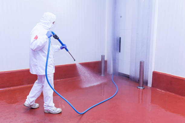 Best Oil Spill Cleanup  in University, FL